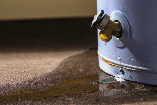 Best Basement water damage restoration  in Park Falls, WI