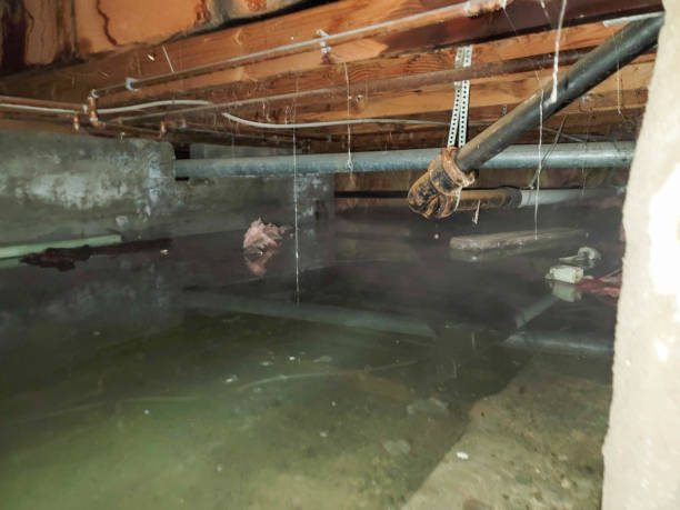 Best Water damage restoration near me  in Park Falls, WI