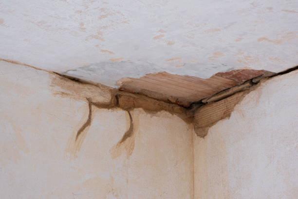 Best Local water damage restoration  in Park Falls, WI