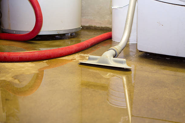 Best Flooded house restoration  in Park Falls, WI
