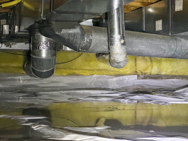 Best Water damage restoration mold remediation  in Park Falls, WI