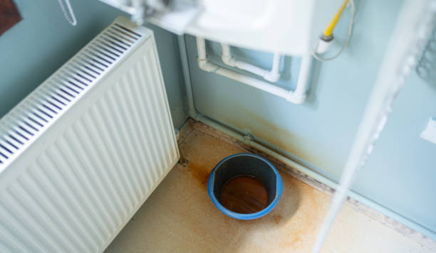 Best Water damage contractors near me  in Park Falls, WI