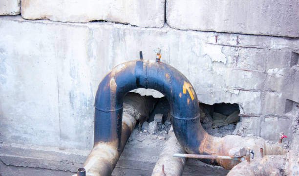 Best Flood damage cleanup  in Park Falls, WI