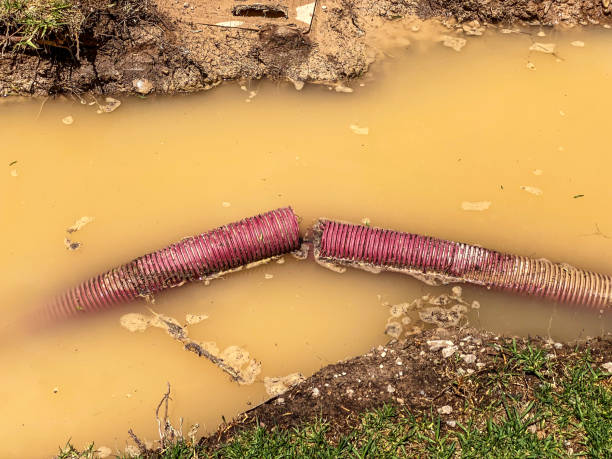 Best Water damage cleanup near me  in Park Falls, WI