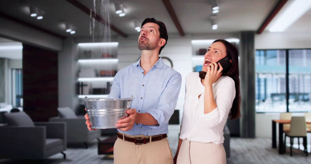  Park Falls, WI Water damage restoration Pros