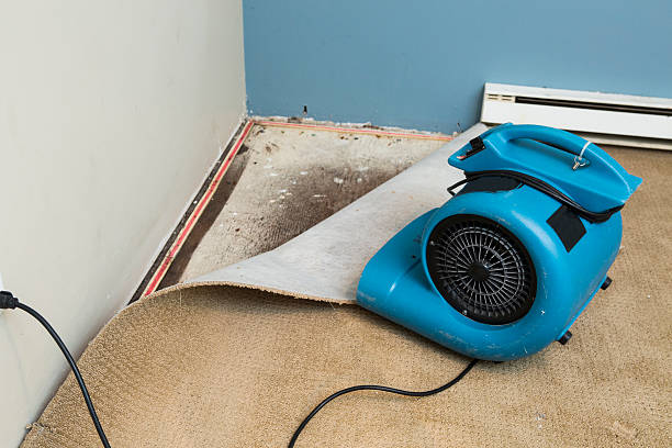 Best Ceiling water damage repair  in Park Falls, WI