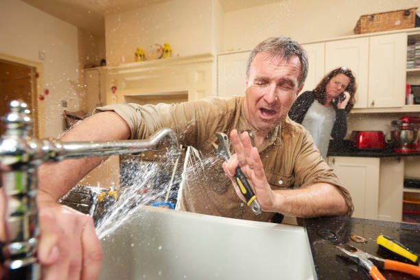 Best Sewage cleanup and water damage restoration  in Park Falls, WI